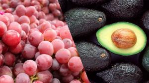 ADEX: Agroexportaciones regionales sumaron US$ 3.248 millones entre enero y mayo de 2025