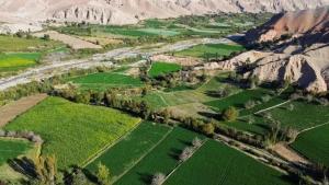 Agro en espera de 15 proyectos de irrigación y nueva Ley Agraria