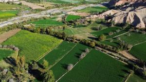 Agro es alcanzado por criminalidad en minería: los cultivos de exportación ya afectados