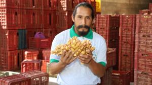 Agro Green Pérez se alista para iniciar exportaciones