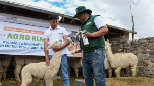 Agro Rural: alrededor de 200.000 productores agrícolas se beneficiarán con inversión de S/ 300 millones