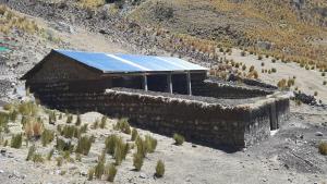 Agro Rural construirá 3.080 cobertizos para proteger tres millones de cabezas de ganado ante heladas