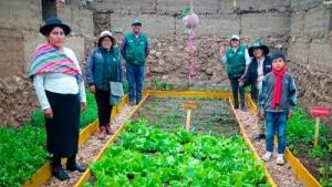 Agro Rural ejecutó proyectos agropecuarios por más de S/18 millones en Junín en 2024