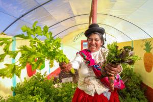 Agrobanco desembolsa S/ 617.6 millones en 58.000 créditos a productoras