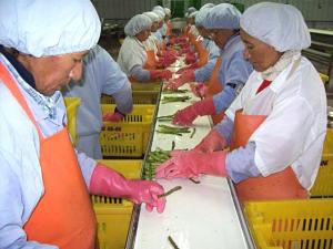 AGROEXPORTACIONES PERUANAS A COREA CRECERÍAN 43% ESTE AÑO