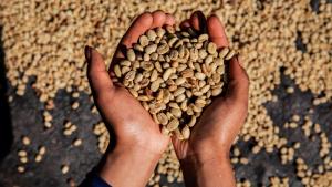Agroexportaciones peruanas bordean los US$ 5,000 millones a mayo de 2026