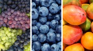 Agroexportaciones peruanas crecieron +20.9% en valor en el primer bimestre del 2025