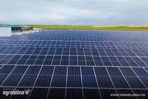 Agrolatina genera 3.2 megawatts de energía limpia con tres hectáreas de paneles solares