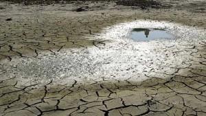 Alerta: prolongada escasez de humedad afecta desarrollo de campaña agrícola 2025-2026