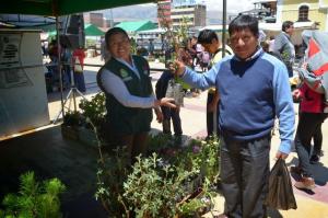 ALISTAN II FESTIVAL DE PRODUCTORES FORESTALES Y ORNAMENTALES