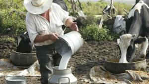 Alrededor de 400.000 litros de leche se pierden diariamente en Arequipa debido protestas y bloqueo de carreteras