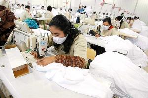 Alta demanda externa impulsaría nuevos centros de producción en el sur peruano donde está concentrado el sector de pelos finos de camélido