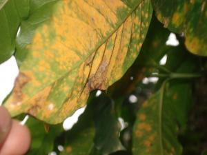 ANUNCIAN MEDIDA DE FUERZA ANTE FALTA DE APOYO DE AUTORIDADES