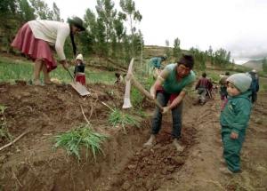 APRUEBAN CRÉDITO POR US$ 80 MILLONES PARA TITULACIÓN DE PREDIOS RURALES