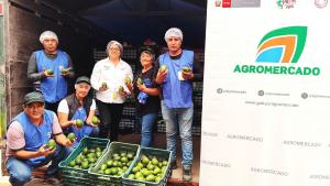 Articulación de Agromercado facilita la exportación de 30 toneladas de palta de productores de Junín
