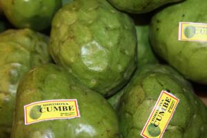 ASOCIACIÓN DE HUAROCHIRÍ LOGRÓ EXPORTAR 27 TM DE CHIRIMOYA A EUROPA