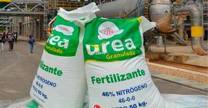 Ayer se inició nuevo proceso de compra de urea
