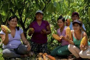 Bionegocios amazónicos podrán acceder a más de S/ 75 millones en créditos financieros