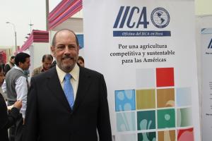 BOLIVIA SEMBRARÍA 2 MILLONES DE HECTÁREAS DE QUINUA