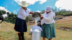 Cadena láctea representa el 12.3% del Valor Bruto de la Producción Pecuaria