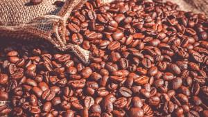 Café orgánico concentró el 16.1% de las exportaciones totales de café