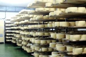 Cajamarca produce 1 millón de litros de leche al día