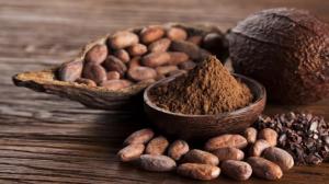 Calidad y certificaciones del cacao peruano le han abierto puertas en los segmentos premium y sostenibles