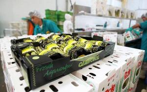 Camposol amplía su negocio de productos congelados