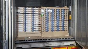 Camposol completa el envío de su primer contenedor de arándanos hacia la India