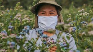 Camposol fortalece su liderazgo agroindustrial con recertificaciones internacionales de excelencia