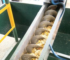 Cáscara deshidratada de limón se exportó por más de US$ 16.5 millones en el 2016