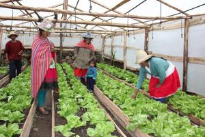 Ceplan plantea trabajo desde los gobiernos locales por la seguridad alimentaria