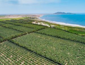 Chavimochic: Perú y Canadá firmarán hoy el contrato para culminar presa Palo Redondo