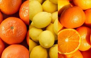 Chile exportó 397.417 toneladas de cítricos en 2024