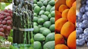 Chile y México entre los principales destinos de la agroexportación peruana hasta junio de 2026