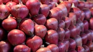 Colombia se consolidó como el primer destino de las cebolla frescas de Perú en abril de este año