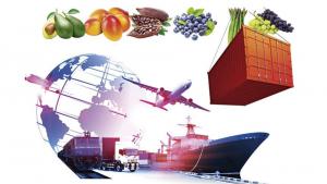 Comercio mundial de frutas tropicales crece mientras suben los costes y aumentan las importaciones