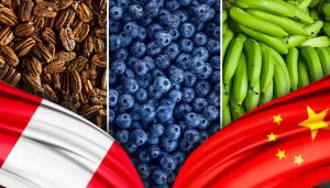 ComexPerú: oferta agroexportable de Perú hacia China tiene la oportunidad de seguir diversificándose