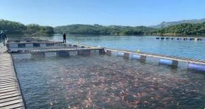 Comité de Pesca y Acuicultura de ADEX trabaja por la trazabilidad y sostenibilidad del sector