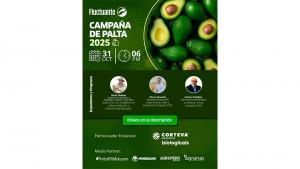 ¿Cómo le fue a la palta peruana en la última campaña 2025?