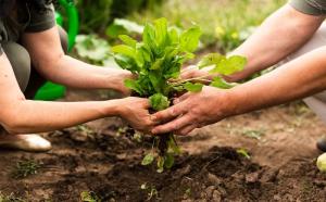 Comparten experiencias para una agricultura más sostenible