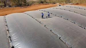 Corporación Rico convierte los purines de cerdo en combusible limpio y avanza en sostenibilidad ambiental