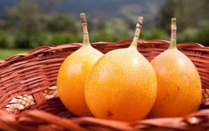 Crece la exportación peruana de granadilla y hay buenas perspectivas para el 2025