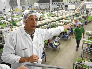 Crecimiento, potencial y desafíos en la industria de uva de mesa de Perú serán analizados en Global Grape Summit 2019
