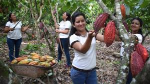 ¿Cuán grande es el potencial de la pequeña agricultura amazónica para articularse al mercado de bonos de carbono?