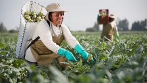 Danper se convierte en una empresa de Residuo Cero