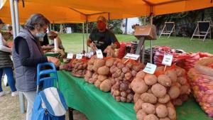Desde abril hasta la fecha se han ejecutado a nivel nacional 611 mercados itinerantes “De la Chacra a la Olla”, beneficiando a 15.609 productores