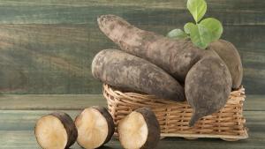 Despachos de yacón peruano crecieron un 32.2% en primer cuatrimestre del año