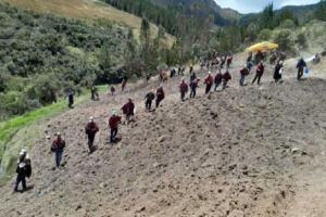 Destinan S/ 205.284 a campaña de siembra de pastos y forrajes en Lambayeque