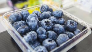 Destinan S/ 500 mil para disminuir impacto ambiental por la exportación de berries en agroindustria peruana